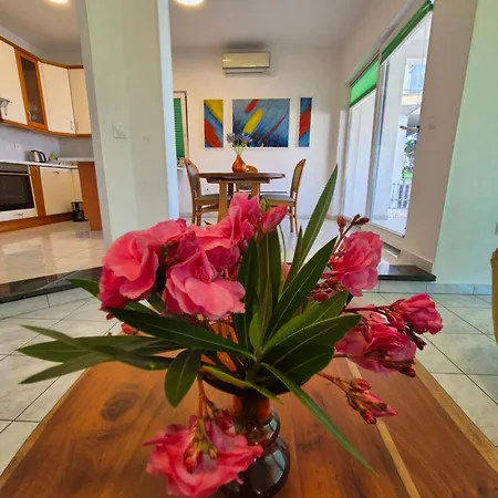 Sucic Razanj Rogoznica (Sibenik-Knin)